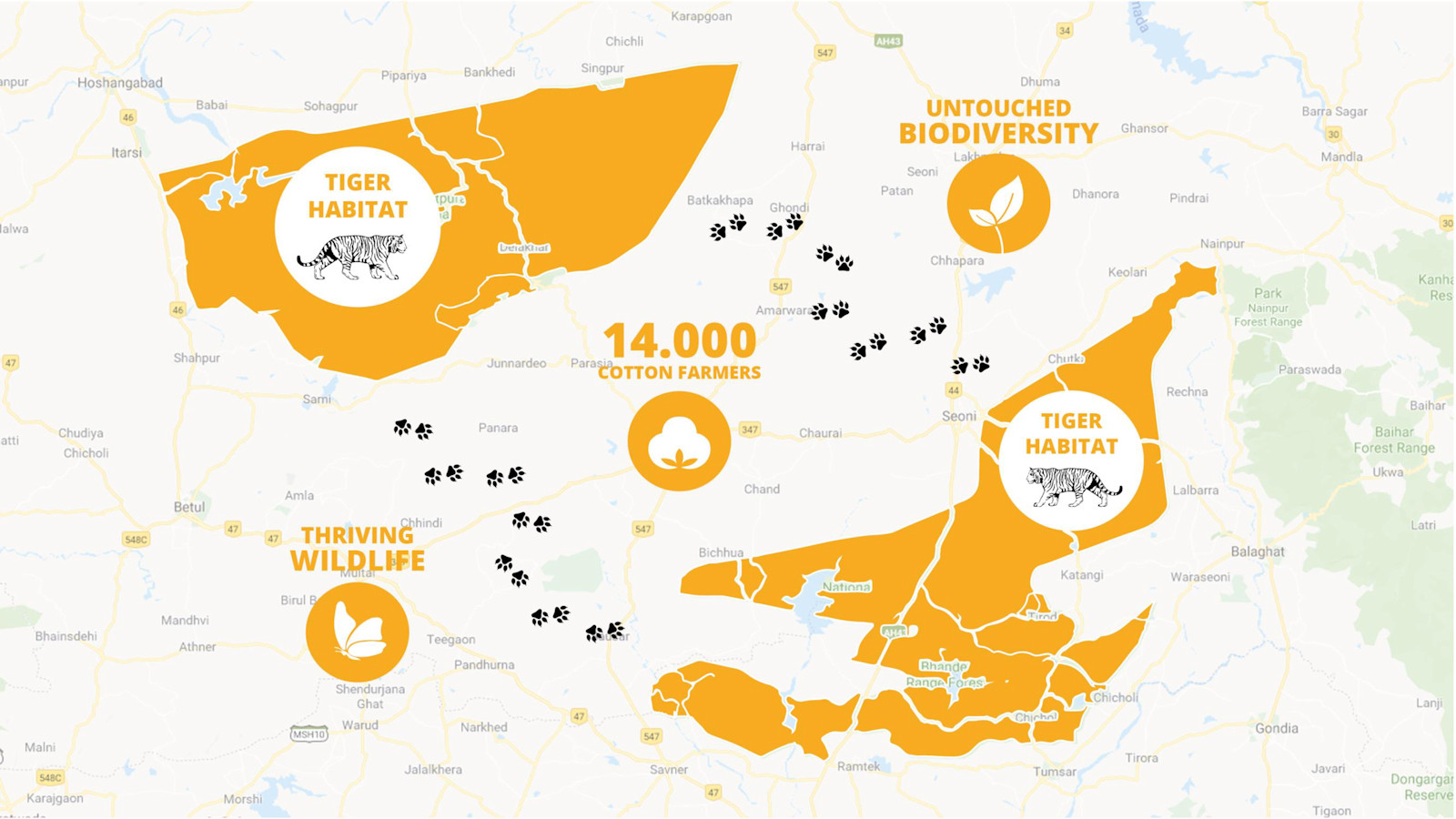 Tiger Habitats & Tiger Cotton.