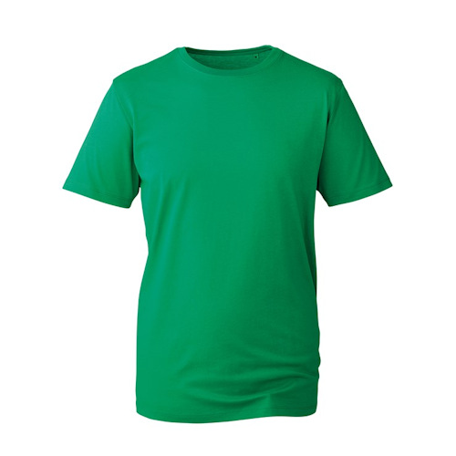 Anthem Clothing at Fifth Column - t shirts kelly green