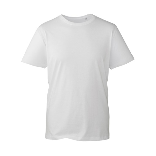 Anthem Clothing at Fifth Column - t shirts white
